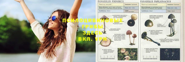 каннабис Осташков