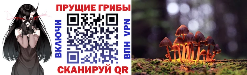 Купить закладки  Ханты-Мансийск  Галлюциногенные грибы GOLDEN TEACHER 
